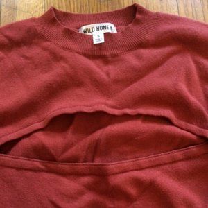 Wild Honey Crop Sweater